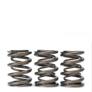 Acura Integra Valve Springs - Skunk2 Racing - Alpha Series Dual Springs - `94-`01 Acura Integra Valve Springs - Skunk2 Racing - Alpha Series Dual Springs - `94-`01